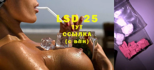 ешки Аркадак