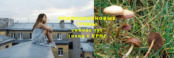 ешки Аркадак