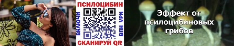 купить  сайты  OMG зеркало  shop телеграм  Макушино  Галлюциногенные грибы Psilocybine cubensis 